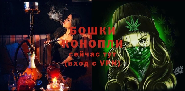 спиды Верея